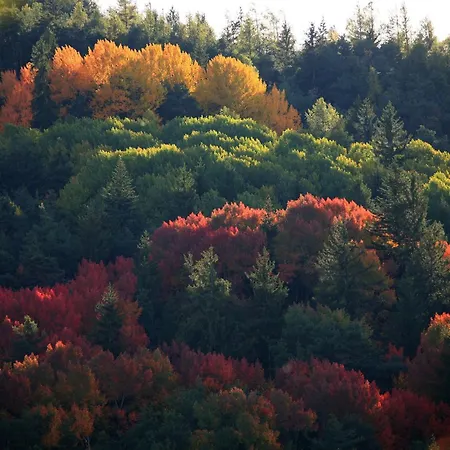 Location Marjori - T3 Le Kakariki Apartment *