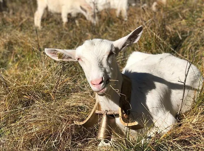 Apartment Location Marjori - T3 Le Kakariki Le Lauzet-Ubaye