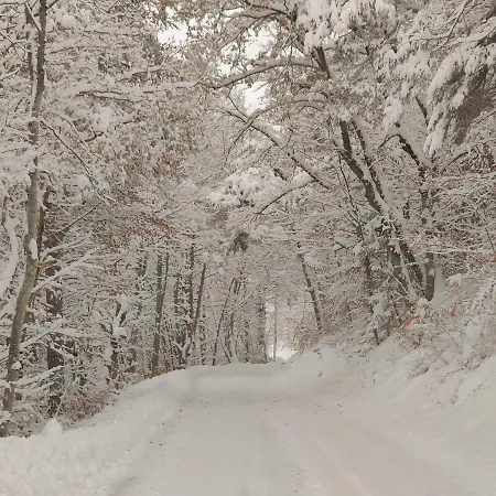 Lägenhet Location Marjori - T3 Le Kakariki *