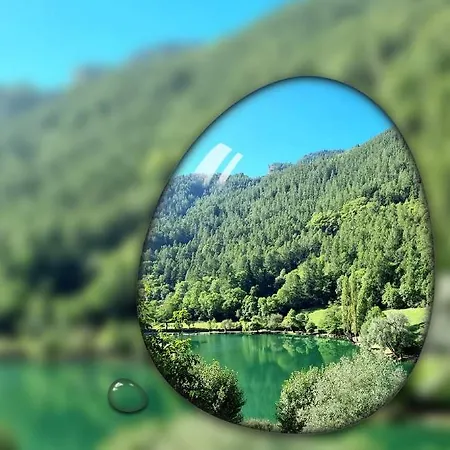Location Marjori - T3 Le Kakariki *
